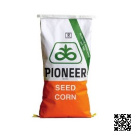 Semințe - Semințe porumb 92F858 grupa FAO 310