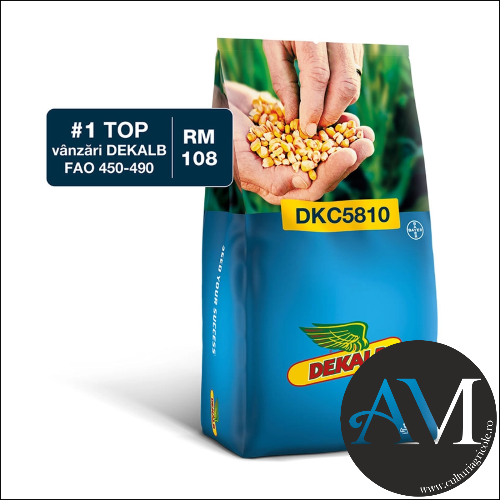Semințe - Semințe porumb tardiv DKC5810 grupa FAO 450-490