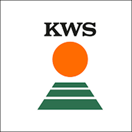 PORUMB - Semințe porumb KWS INTELIGENS INITIO grupa FAO 420