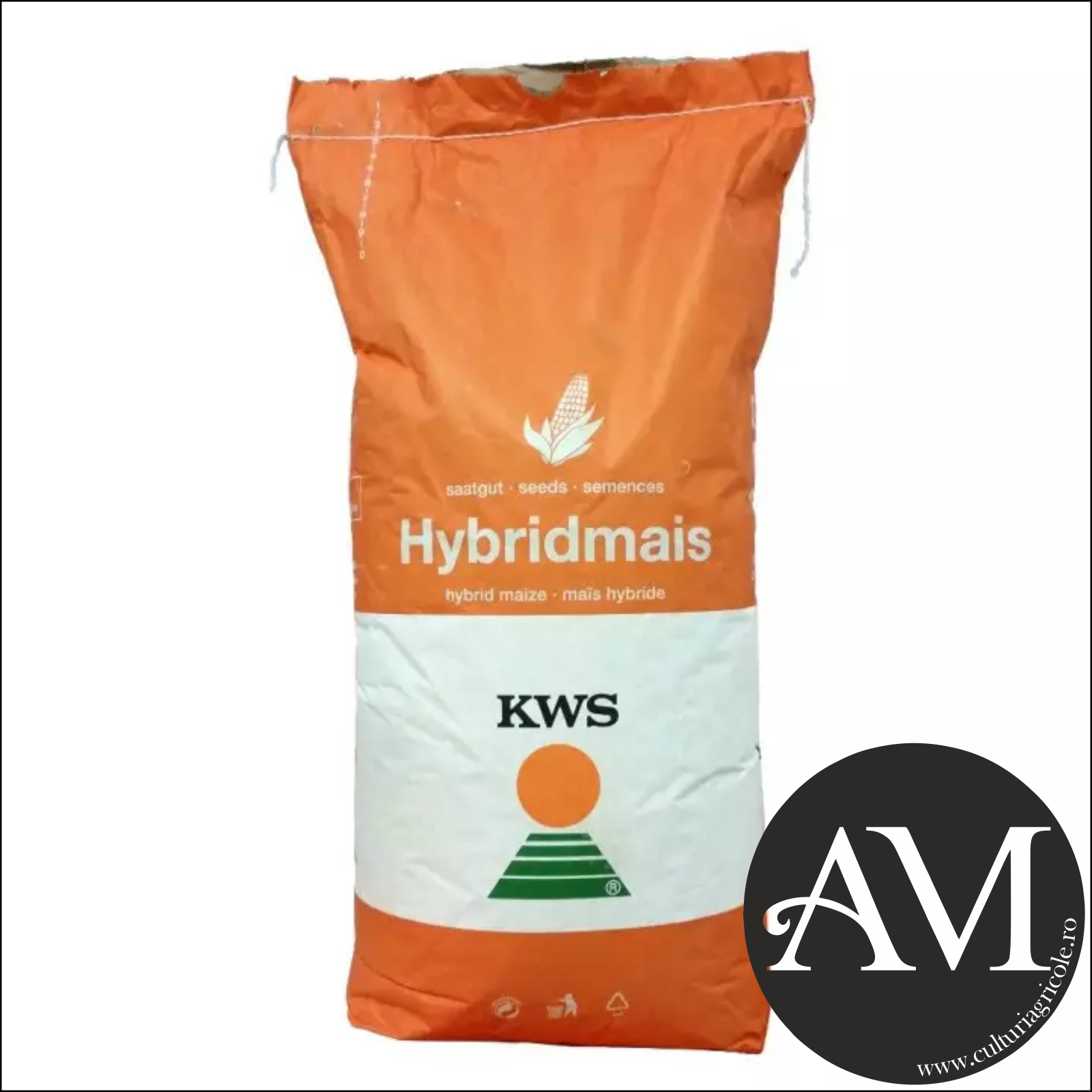 Semințe - Semințe porumb KWS KASHMIR INITIO grupa FAO 370