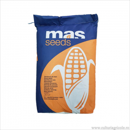 PORUMB - Semințe porumb netratat MAS 48.L grupa FAO 410
