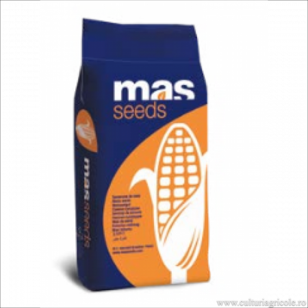 Porumb - Semințe porumb MAS 56.A grupa FAO 480