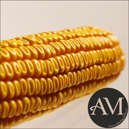Semințe porumb SUM 305 grupa FAO 370 [1]