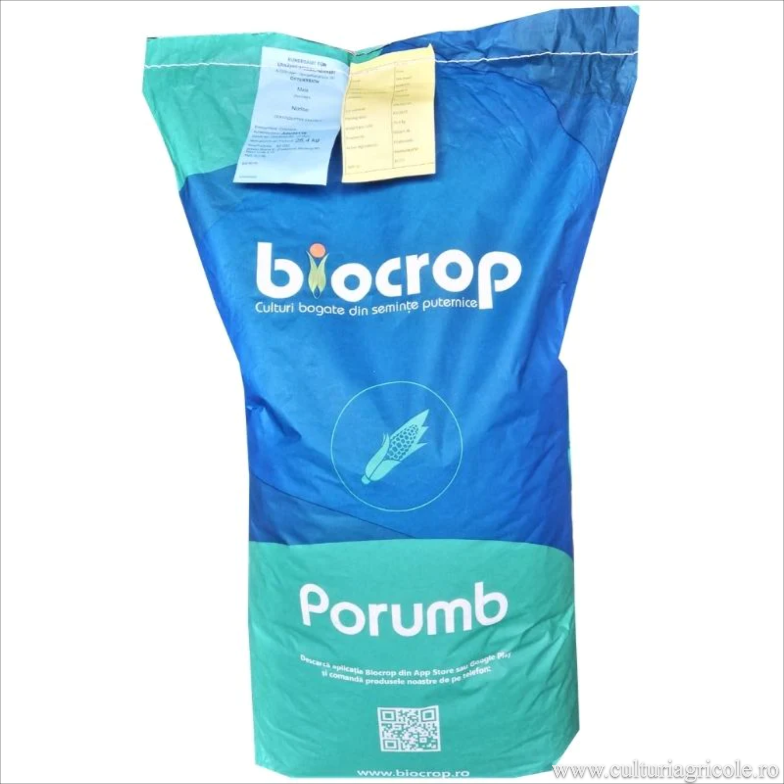Semințe - Semințe de porumb TORRANO grupa FAO 350
