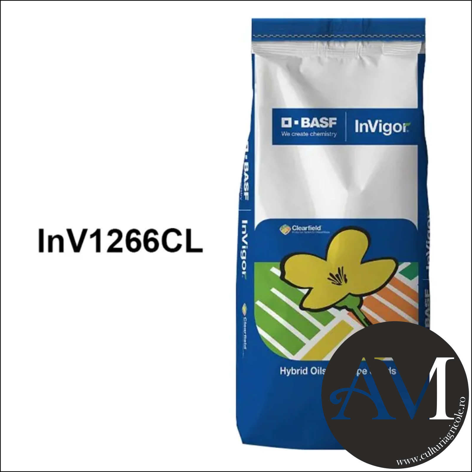 Rapiță - Semințe rapiță semi-timpuriu InV1266CL INTEGRAL PRO tehnologie Clearfield
