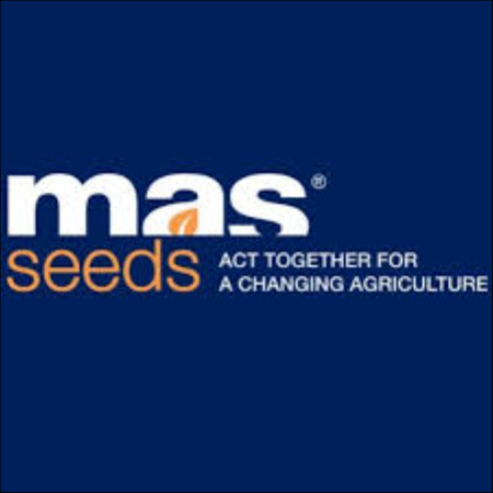 Semințe - Semințe soia ARTESIA grupa 0