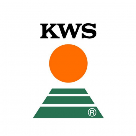 Semințe - Semințe soia semi-tardiv KWS ANNIKA