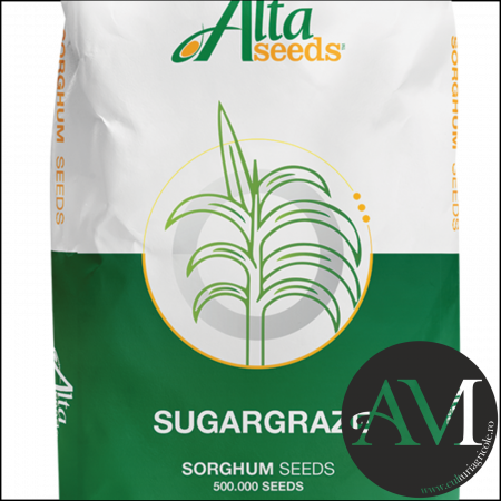 Semințe - Semințe sorg tardiv SUGARGRAZE