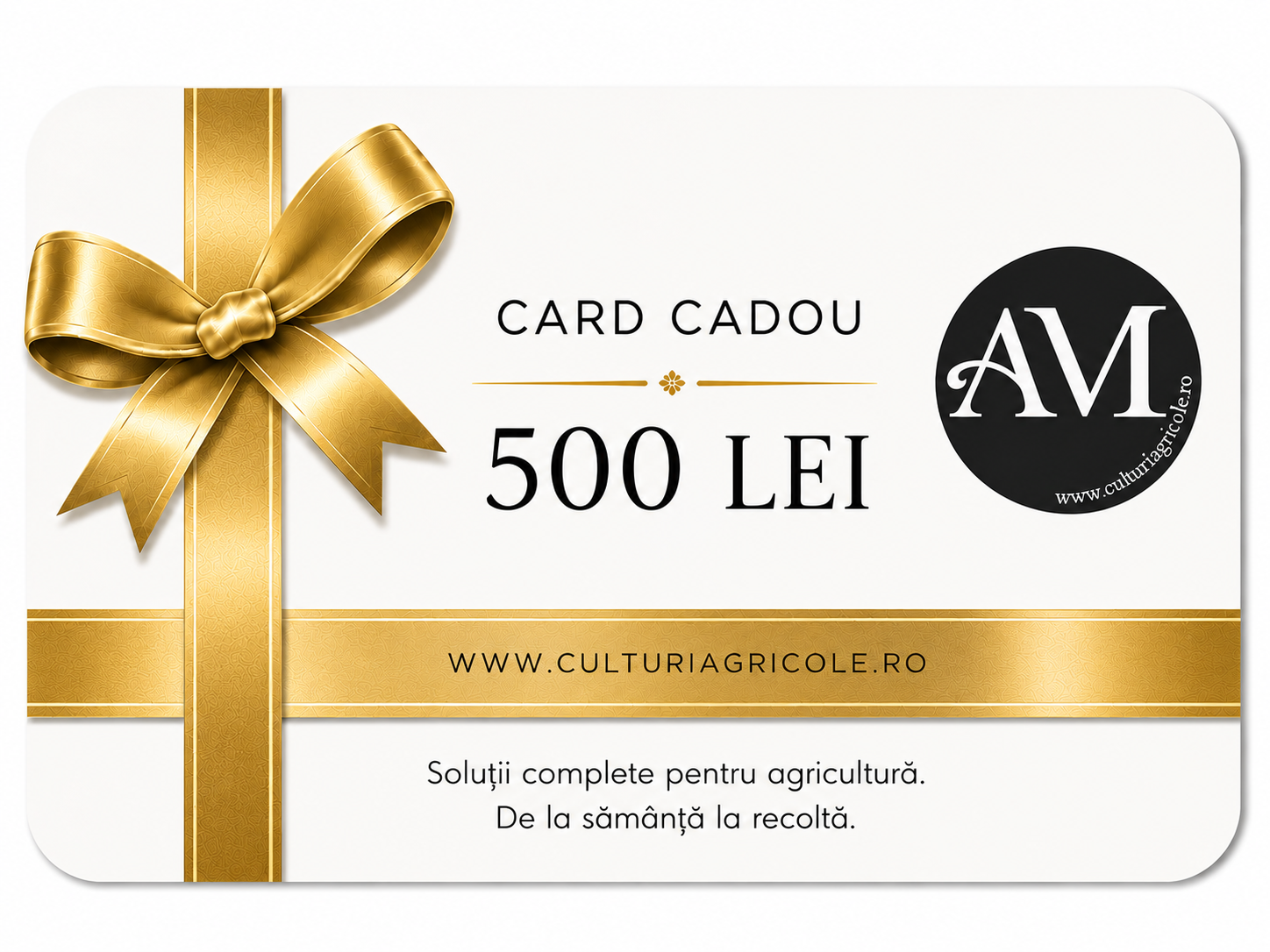 VOUCHERE CADOU - Voucher Cadou 500 LEI