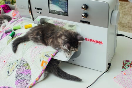Masina De Cusut si Quilting Bernina 770QE PLUS, computerizata, 992 cusaturi [8]