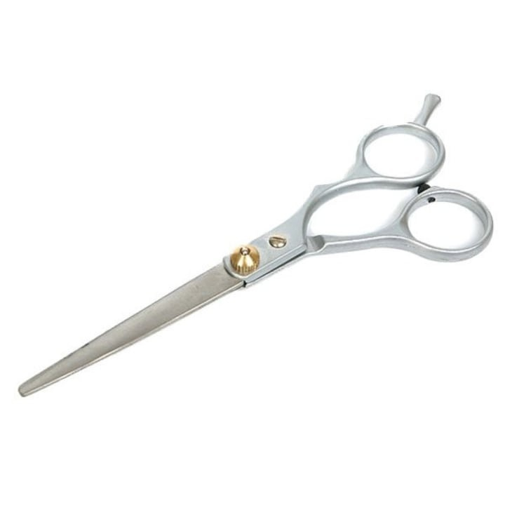 Foarfeca de tuns pentru coafura si frizerie, otel inoxidabil, 15 cm, design ergonomic, surub reglabil, lame 5.6 cm, ideala pentru incepatori, argintiu cu detalii aurii [7]