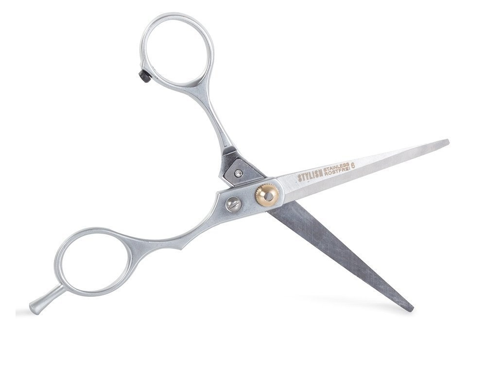 Foarfeca de tuns pentru coafura si frizerie, otel inoxidabil, 15 cm, design ergonomic, surub reglabil, lame 5.6 cm, ideala pentru incepatori, argintiu cu detalii aurii [12]