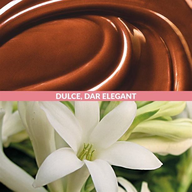 Apa de parfum Perfect Nonsense Choco Tuberose 50 ml si card multifunctional de supravietuire, otel inoxidabil [4]
