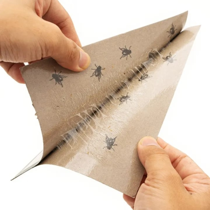 Capcana adeziva pentru muste si insecte, set 15 bucati, tip carte, fara miros, reutilizabila, adeziv puternic, interior si exterior [3]