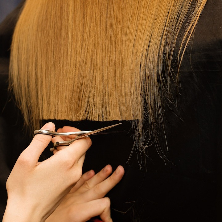 Foarfeca pentru filat, otel inoxidabil, lungime 15 cm, argintiu [8]