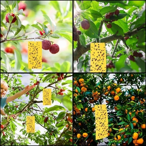Set 20 capcane pentru insecte, muste, tantari, protectie plante, autoadezive, fata-verso, 10 x 15 cm, galben [6]