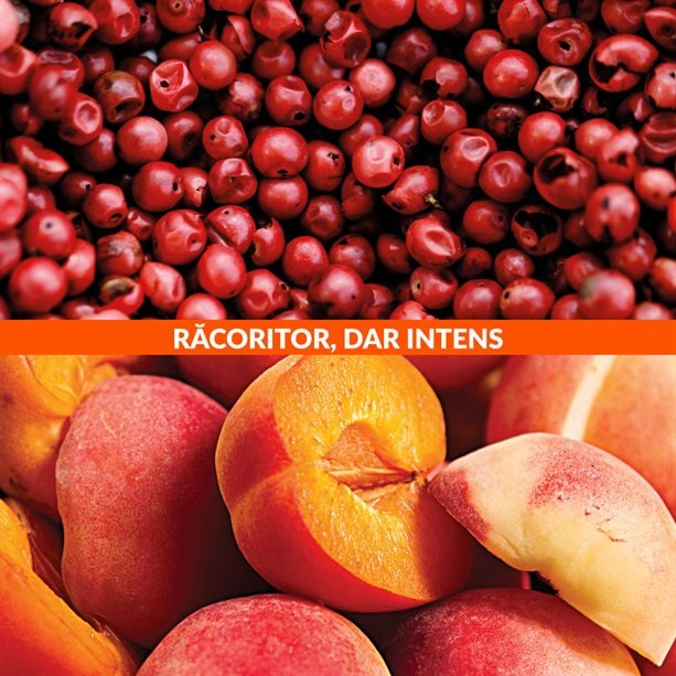 Apa de parfum Perfect Nonsense Peppery Peaches 50 ml si card multifunctional de supravietuire, otel inoxidabil [12]