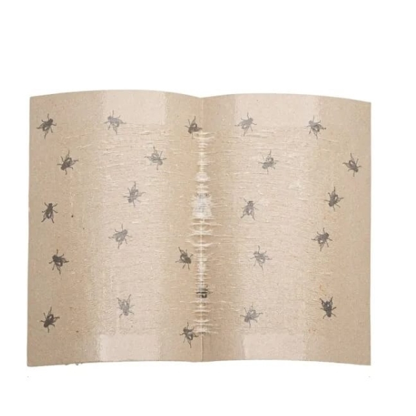 Capcana adeziva pentru muste si insecte, tip carte, fara miros, reutilizabila, adeziv puternic, utilizare interior si exterior 10 buc. [3]