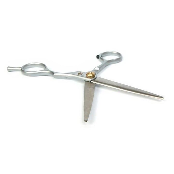 Foarfeca de tuns pentru coafura si frizerie, otel inoxidabil, 15 cm, design ergonomic, surub reglabil, lame 5.6 cm, ideala pentru incepatori, argintiu cu detalii aurii [6]