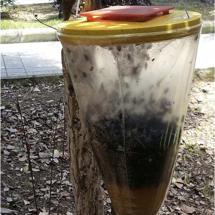Capcana pentru insecte, muste, tantari, ecologica, non-toxica, plastic, momeala inclusa, pentru gradina, 30 x 20 cm [5]