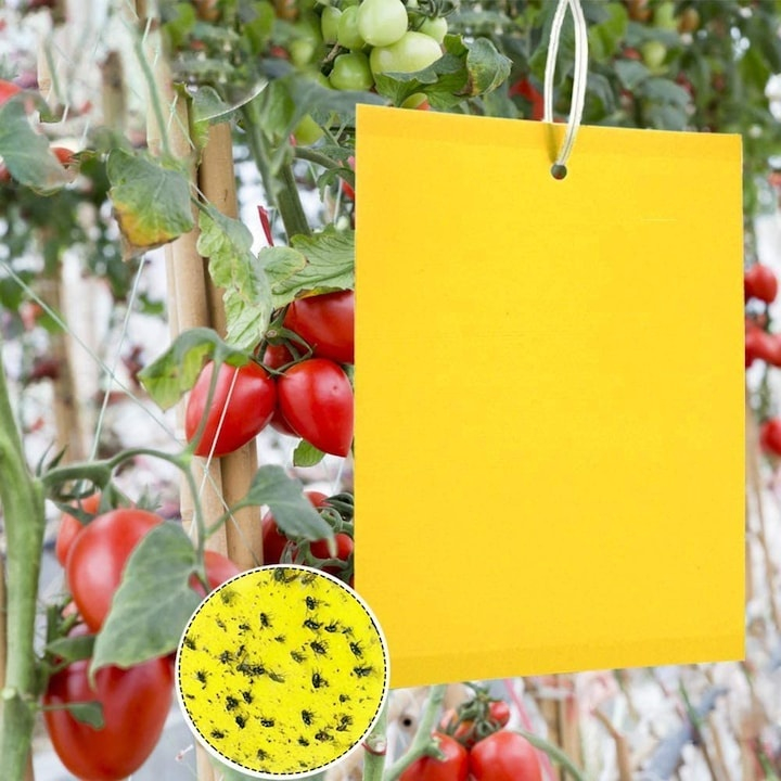 Set 20 capcane pentru insecte, muste, tantari, protectie plante, autoadezive, fata-verso, 10 x 15 cm, galben [3]