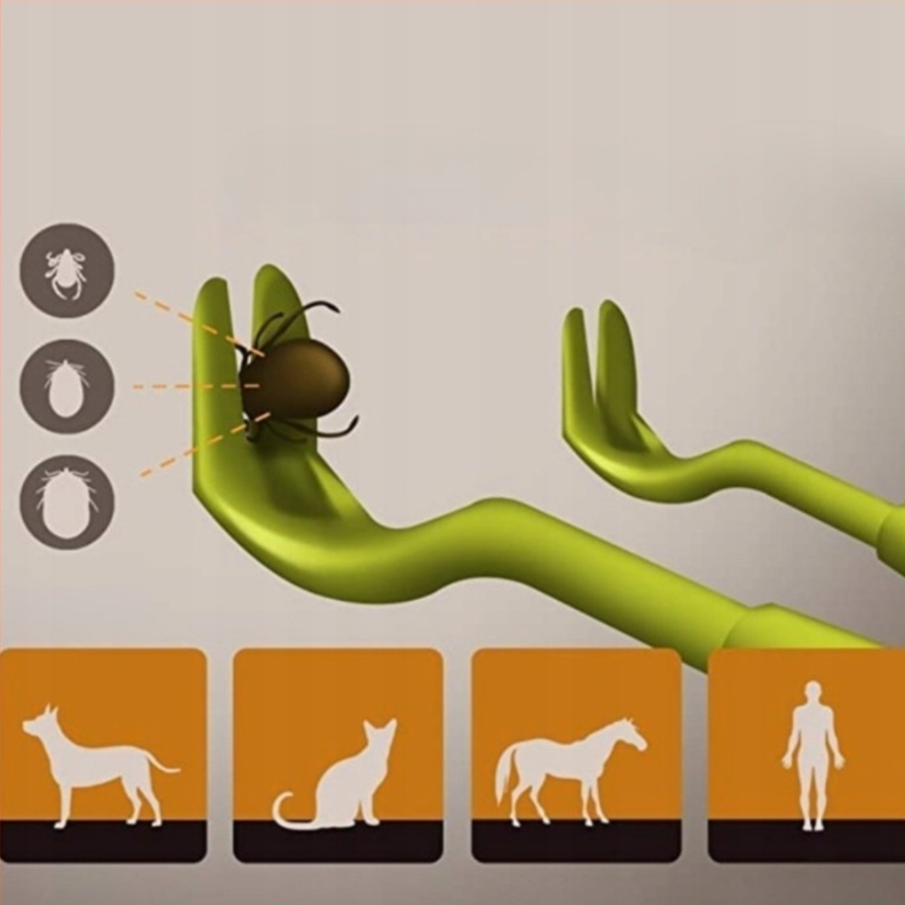 Kit pentru indepartarea capuselor, 7 piese, carlige, pensete, lupa, pieptene, carcasa depozitare [11]