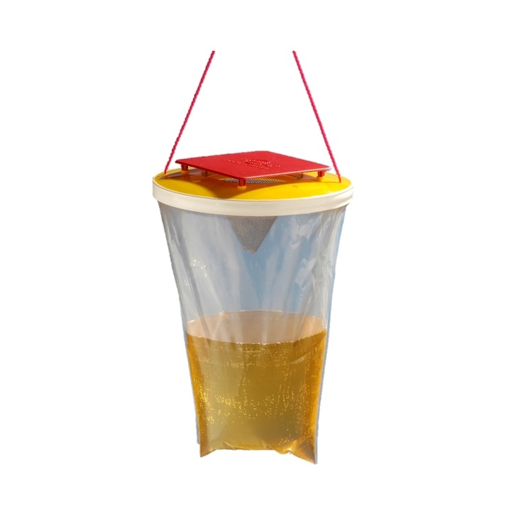 Capcana pentru insecte, muste, tantari, ecologica, non-toxica, plastic, momeala inclusa, pentru gradina, 30 x 20 cm [9]