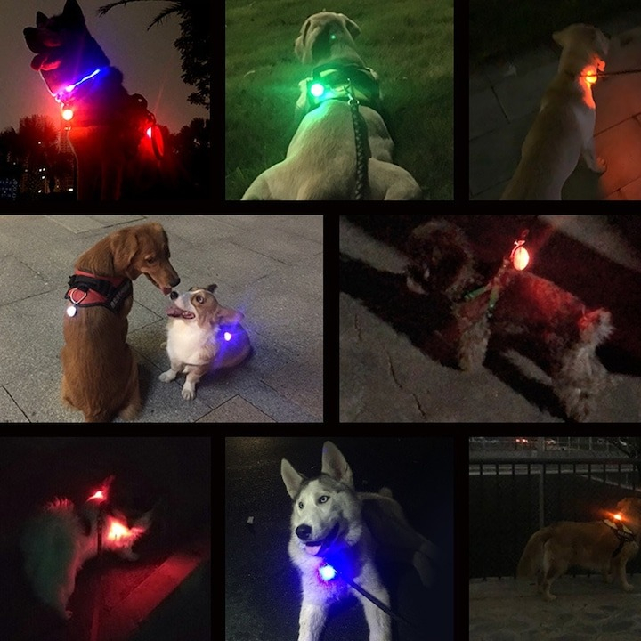 Lumina LED pentru zgarda caini, 2 moduri de iluminare, 3 x 3 cm, albastru [4]