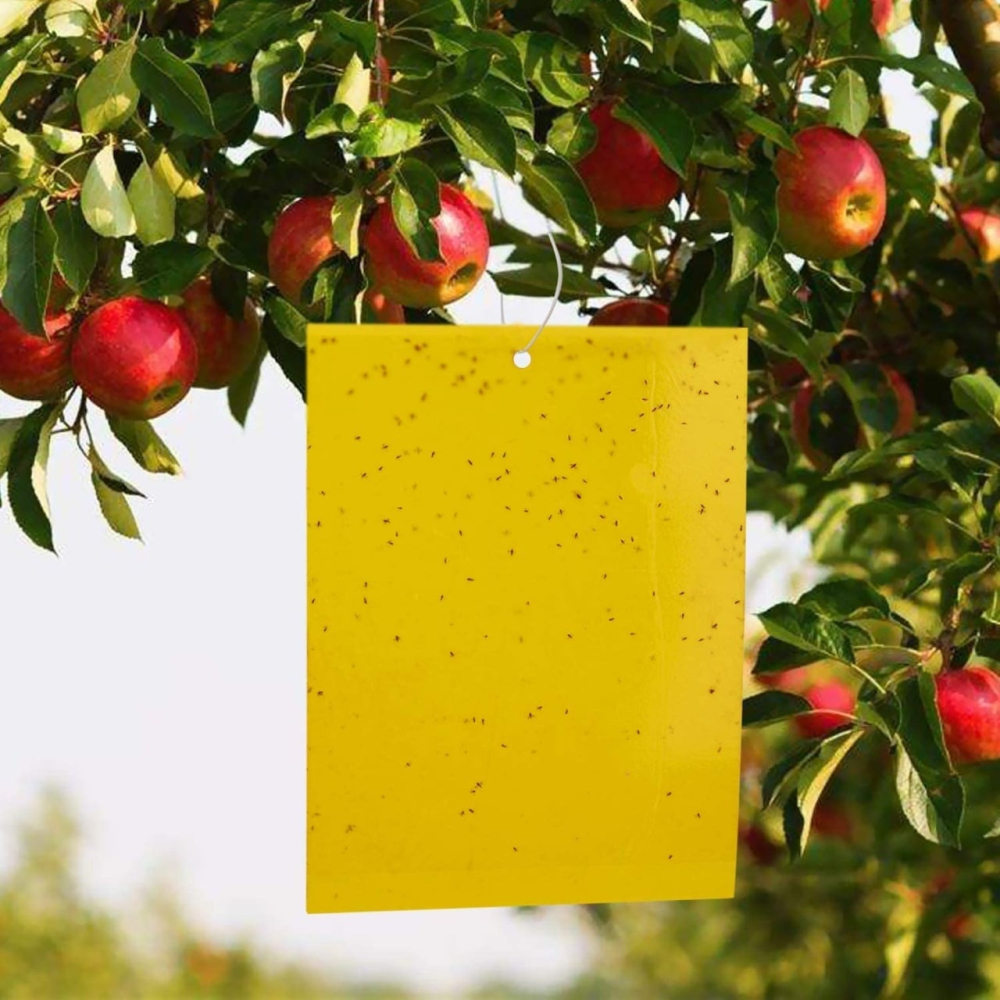 Set 20 capcane pentru insecte, muste, tantari, protectie plante, autoadezive, fata-verso, 10 x 15 cm, galben [5]