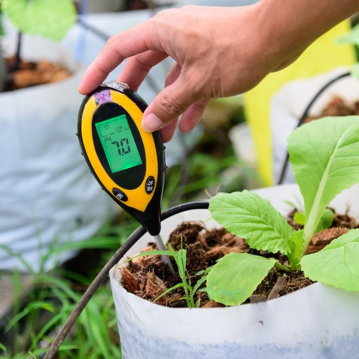 Acid meter tester de pH pentru sol horticole, masurare temperatura, umiditate si lumina, afisaj iluminat, sonda 20 cm, galben [8]