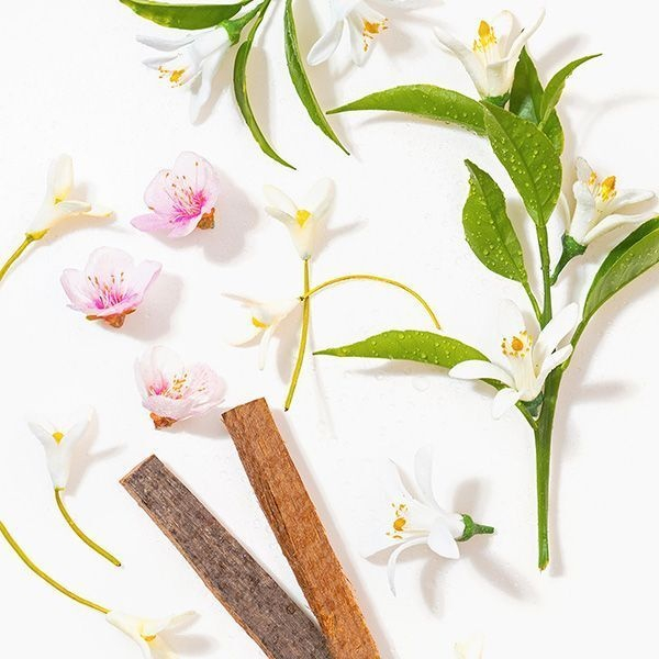 Apa de parfum Avon Today Tomorrow Always 100 ml – floral-orientala pentru femei, cu note de iasomie, frezie si mosc, ideala pentru eleganta si rafinament atemporal [6]