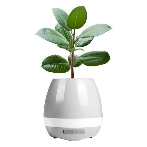 Boxa bluetooth, ghiveci muzical cu lumina de veghe, 5W - Alb [3]