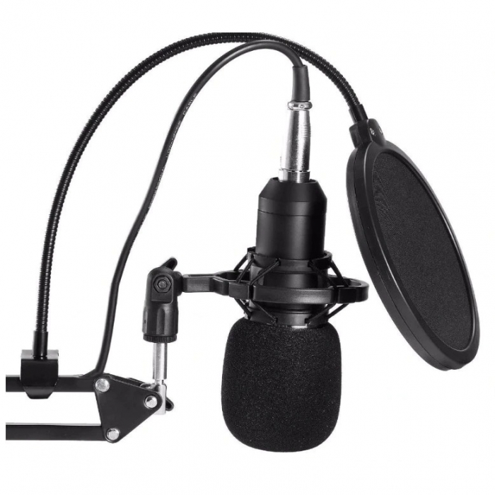 Microfon Profesional de Studio cu condensator, model BM800 cu stand inclus [3]