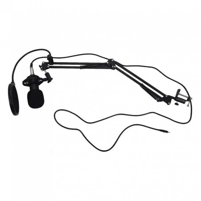 Microfon Profesional de Studio cu condensator, model BM800 cu stand inclus [2]
