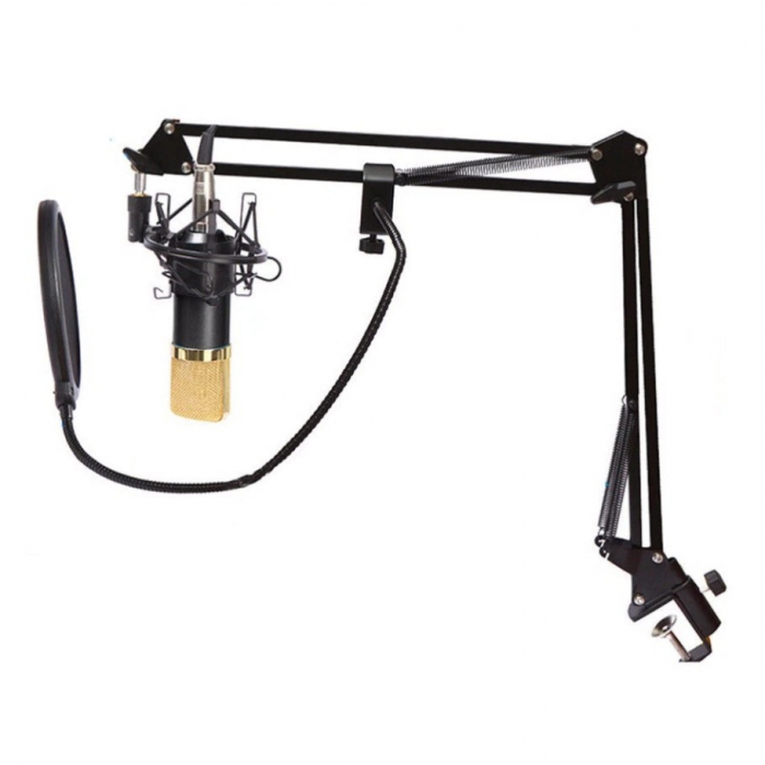 Microfon Profesional de Studio cu condensator, model BM800 cu stand inclus [5]
