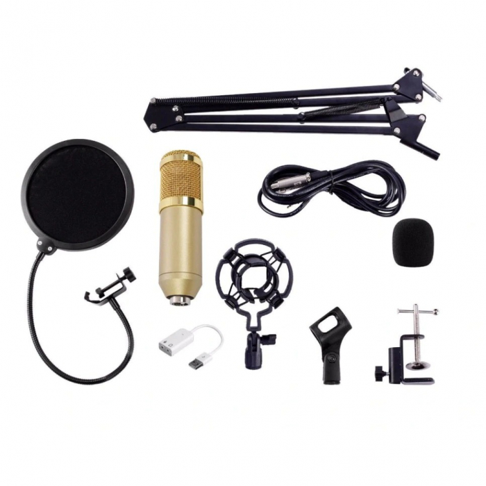 Microfon Profesional de Studio cu condensator, model BM800 cu stand inclus [7]