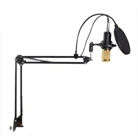 Microfon Profesional de Studio cu condensator, model BM800 cu stand inclus [6]