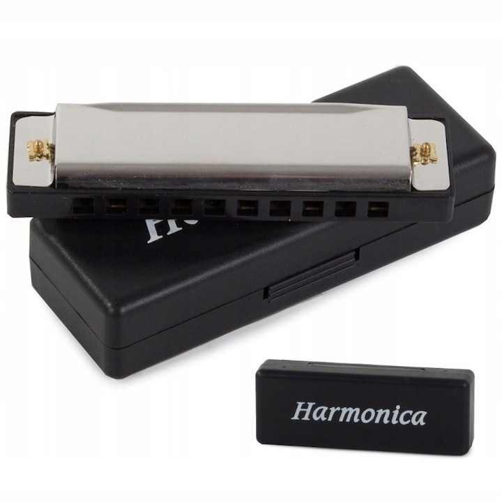 Muzicuta neagra argintie 10 x 2.8 x 2 cm, diatonica cu 10 gauri, acordaj Do, cu cutie de protectie, instrument muzical pentru copii si adulti [10]