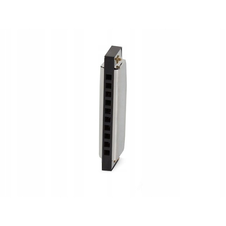 Muzicuta neagra argintie 10 x 2.8 x 2 cm, diatonica cu 10 gauri, acordaj Do, cu cutie de protectie, instrument muzical pentru copii si adulti [11]