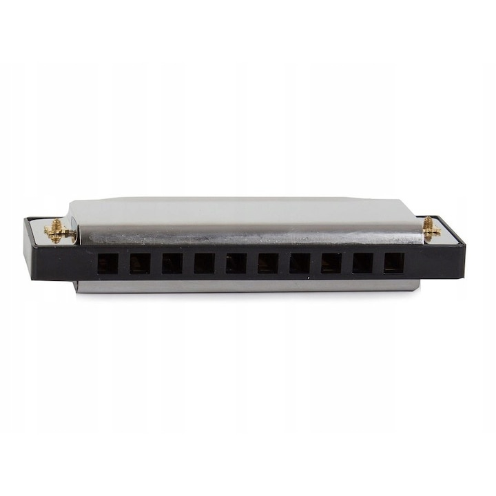 Muzicuta neagra argintie 10 x 2.8 x 2 cm, diatonica cu 10 gauri, acordaj Do, cu cutie de protectie, instrument muzical pentru copii si adulti [12]