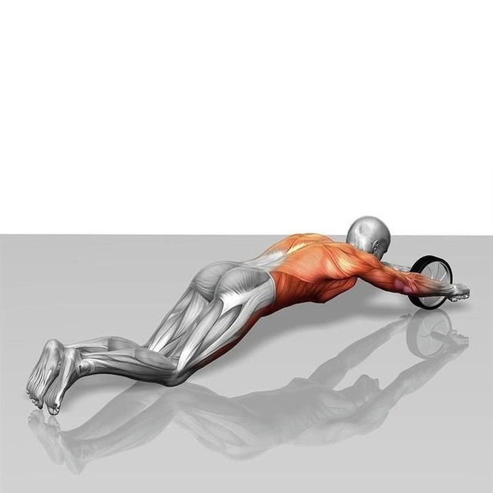 Rola abdominala dubla pentru abdomene, exercitii fizice, manere antiderapante si covoras inclus [8]