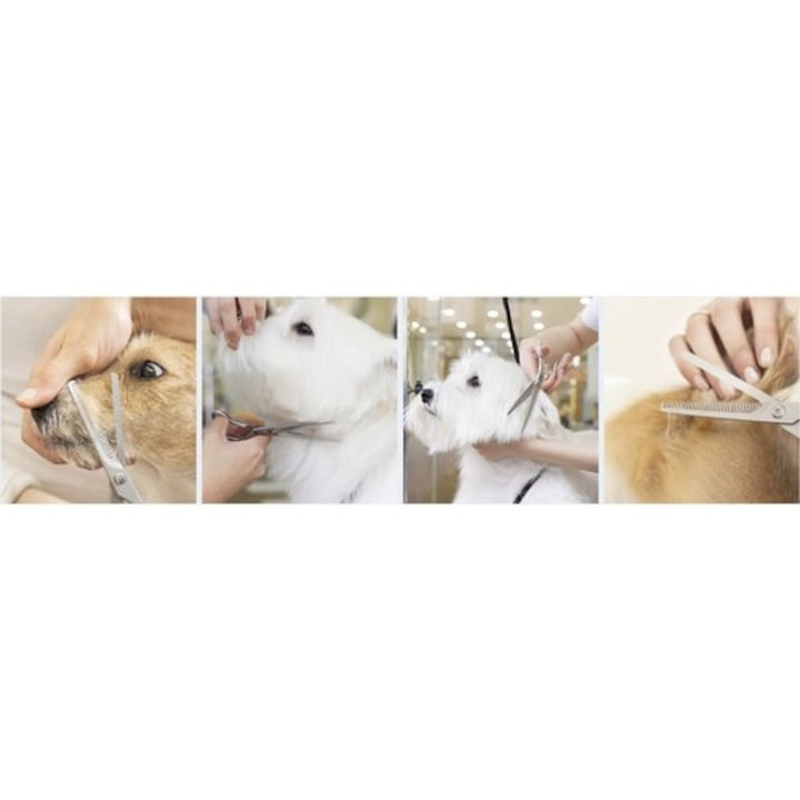 Set 3 foarfece pentru tuns animale si pieptene, cu husa si accesorii, 9 x 3 x 21.3 cm, argintiu – ingrijire completa si sigura pentru caini si pisici [8]