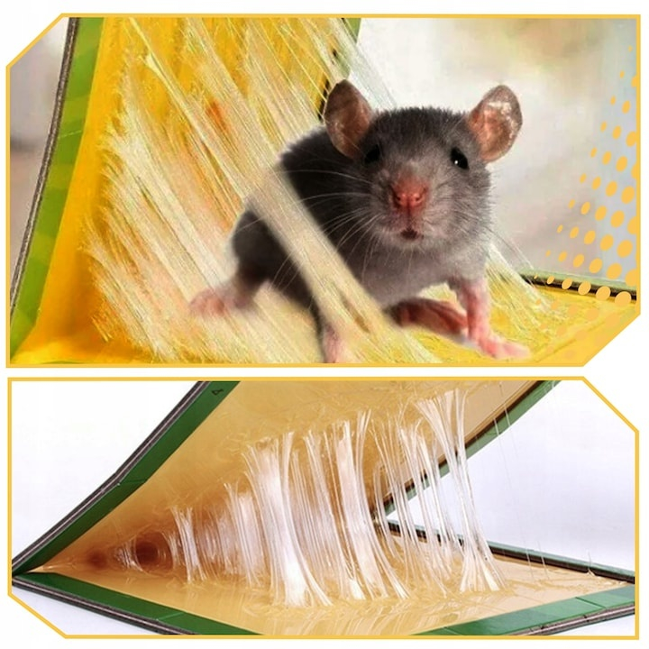 Set 30 capcane adezive pentru soareci si sobolani, tip carte, carton cu lipici non toxic 32g, 23.5 x 16.5 cm, verde [3]