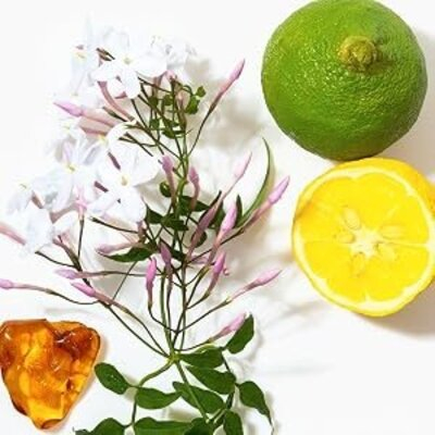 Set cadou elegant Avon Rare Gold, apa de parfum 50 ml pentru femei, aroma floral-aldehidica, ylang-ylang, mandarina, ambra, cuier transparent 5.6 x 5.6 cm autoadeziv [5]
