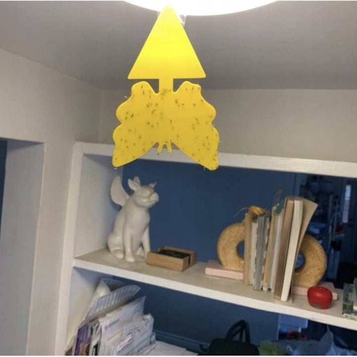 Set capcana lipicioasa pentru insecte, fluturasi galbeni, 12 bucati, adeziv fata-verso, protectie pentru plante de interior si exterior [4]