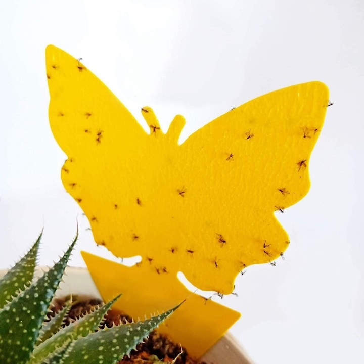 Set capcana lipicioasa pentru insecte, fluturasi galbeni, 12 bucati, adeziv fata-verso, protectie pentru plante de interior si exterior [10]