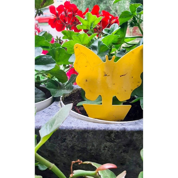 Set capcana lipicioasa pentru insecte, fluturasi galbeni, 12 bucati, adeziv fata-verso, protectie pentru plante de interior si exterior [12]