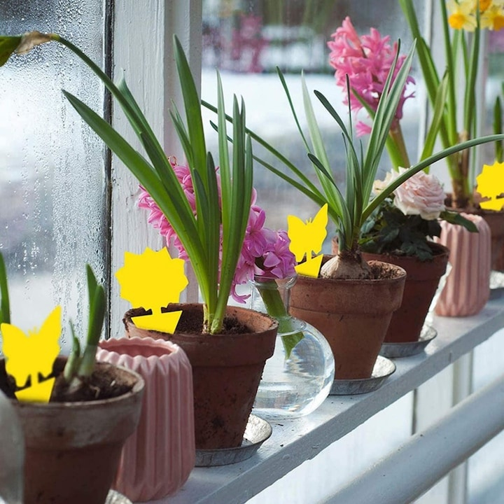 Set capcana lipicioasa pentru insecte, fluturasi galbeni, 12 bucati, adeziv fata-verso, protectie pentru plante de interior si exterior [9]