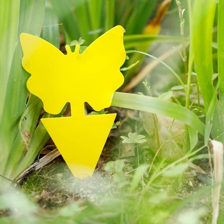 Set capcana lipicioasa pentru insecte, fluturasi galbeni, 12 bucati, adeziv fata-verso, protectie pentru plante de interior si exterior [13]