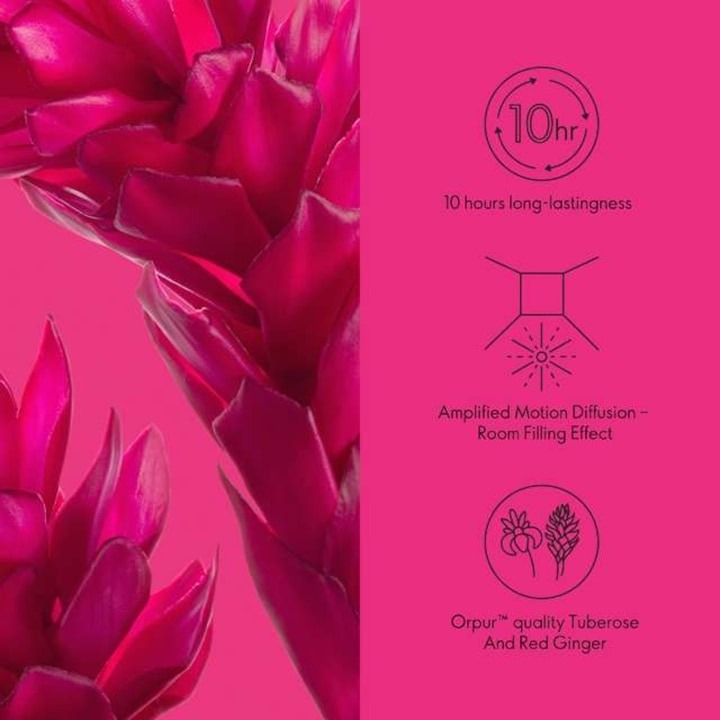 Set complet pentru Ea, parfum de femei All or Nothing Amplified, insotit de insigna Dactylion cu mesaj motivational, cadou un trandafir rosu suflat la baza cu aur [5]
